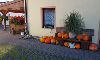 Spätsommer und viel Kürbis 