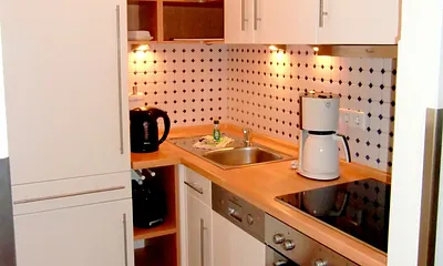 Einbauküche: Kühlschrank, Geschirrspüler, Kochfeld, Ofen