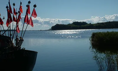 Die Boddenlandschaft gehört zu Rügen wie der Sand am Strand.