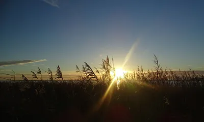 Ob Ostseestrand oder Bodden, in Dierhagen bieten sich alle Möglichkeiten für Naturliebhaber.