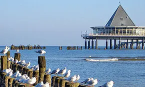 Usedom- Spatziergang am endlosen Sandstrand nach Heringsdorf