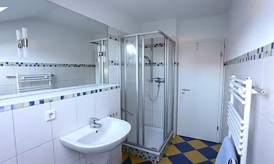 Blick in das Bad mit Dusche , WC und Waschbecken