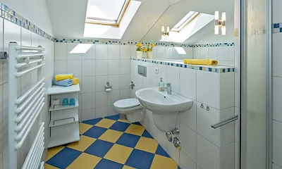 Blick in das Bad mit Dusche , WC und Waschbecken