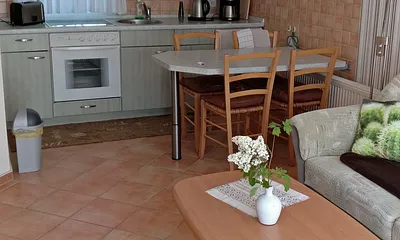 Wohnzimmer mit Blick auf die Küchenzeile 