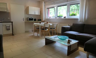 Wohnzimmer - im Hintergrund Essplatz und Küchenzeile