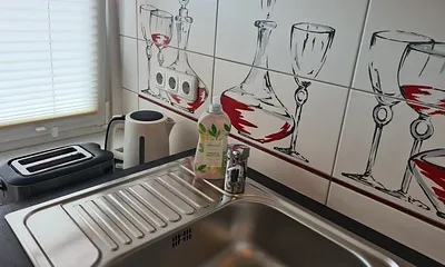 Frühstücksküche mit Wasserkocher und Toaster Fewo Seemöwe Ahlbeck