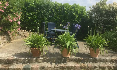 Terrasse im Garten mit Grill