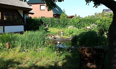 Blick auf den Gartenteich