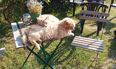 Max und Paul, es wird immer verrückter