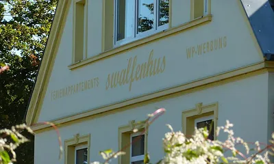 Unser "swalfenhus".