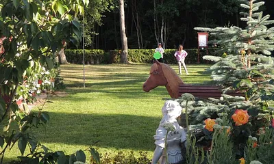 Garten an der Südseite zum Wald hin.