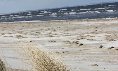 Der Strand im Winter.