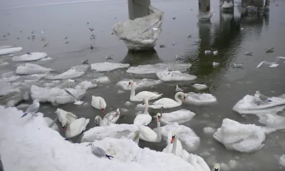 Ein besuch im Winter ist immer schön