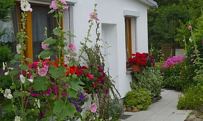 Weg zur Sonnenterrasse