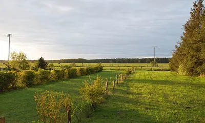 Blick vom Haus in Richtung Daßer Wald 
