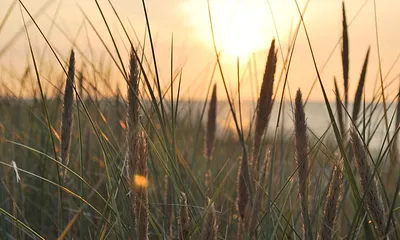 Abendsonne am Strand