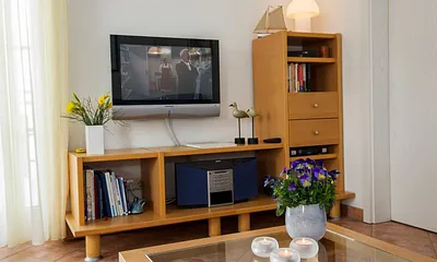 TV, Radio und Bücher