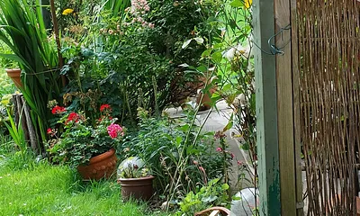 Blick aus dem Zimmer