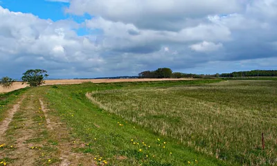 Koserower Deich am Achterwasser