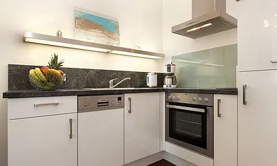 Die Küchenzeile mit Geschirrschüler, Kühlschrank, Herd mit Backofen etc.