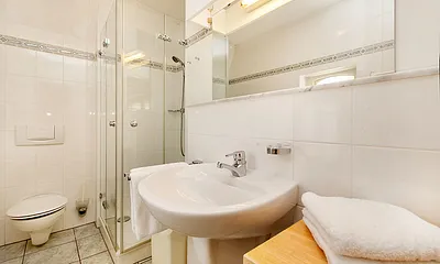 Hier im Bild das Bad mit Echtglasdusche, WC und Waschtisch.