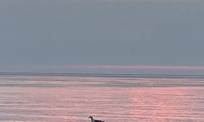 Sonnenuntergang an der Ostsee 