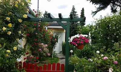 kombinierter Wohn und Schlafraum 