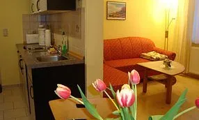 Blick auf Küchenzeile und Wohnraum