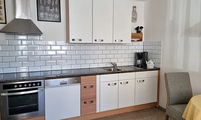 Küchenzeile mit Herd und Backofen, Geschirrspüler sowie Kühlschrank