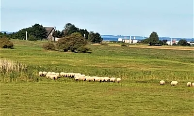 Blick über den Bodden