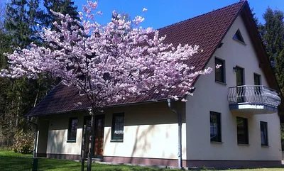 Unser Ferienhaus im Ostseebad Sellin mit drei Ferienwohnungen im Grünen und trotzdem zentrumsnah gelegen