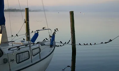 Am frühen Morgen am Selliner See