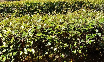 Blick von der Terrasse