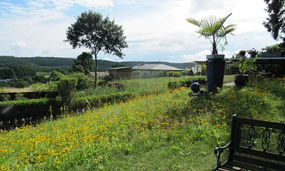 Wiese auf unserem Hof