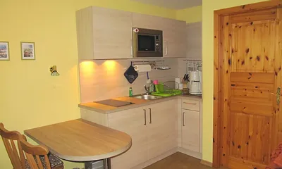 Küchenzeile mit Herd, Kühlschrank und Mikrowelle / Essplatz