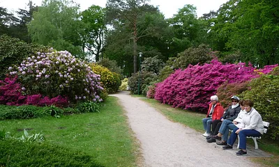 Ein Blick in den Rhododendronpark in Graal-Müritz.