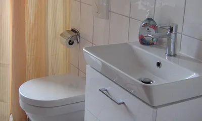 Behindertenfreundlich eingerichtet ist auch das Badzimmer mit einer Bodengleichen Dusche und neuem Waschtisch mit viel Stauraum