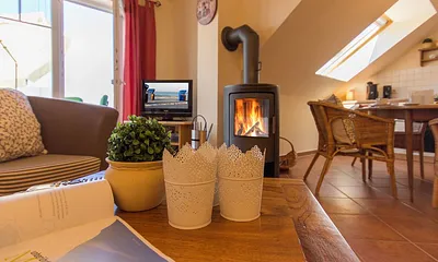 Der Kamin für kalte Tage ...