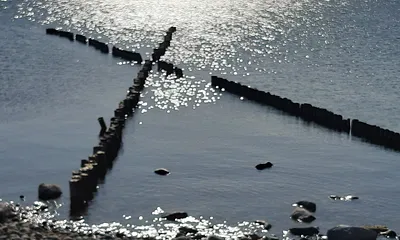 Die bekannte X-Buhne am Dransker Ostseestrand 