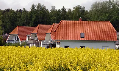 Die Ferienanlage im Rapsfeld