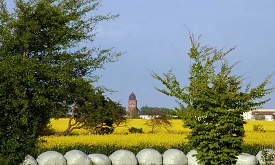 Blick Richtung Gingst