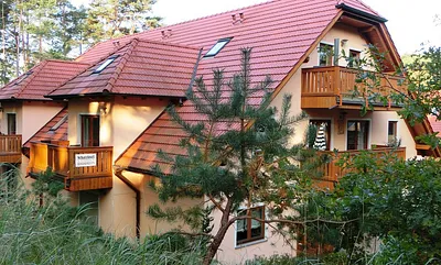 Blick vom Dünenwald