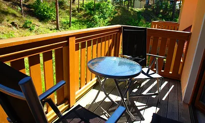 gemütlicher Balkon zum Dünenwald