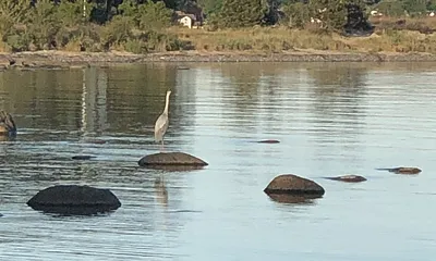 Naturstrand mit Blick nach Thiessow