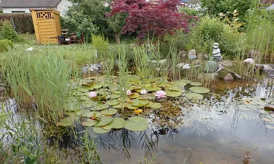 Romantisch sitzt man am Gartenteich