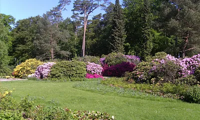 Rhododendronpark, 400 m vom Ferienhaus entfernt