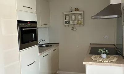 Küche mit Backofen inkl. Mikrowelle und Geschirrspüler