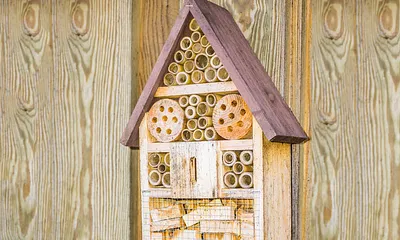 Insektenhotel