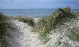 Ihr erster Blick auf die Ostsee