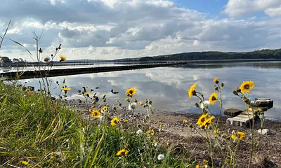 Lietzower Bodden